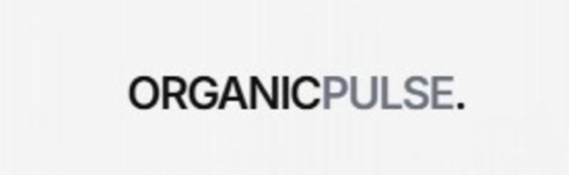 Organic Pulse: the SEO agency in Madrid that converts organic