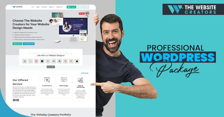 Professional WordPress Package