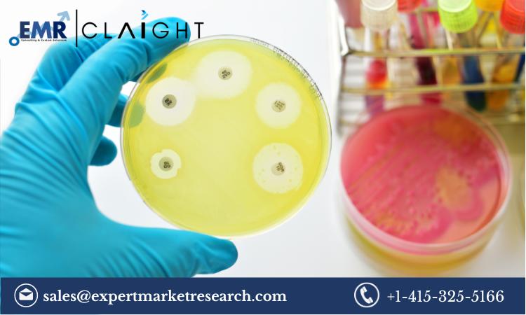 MRSA Testing Market Size, Share, Growth Report and Forecast