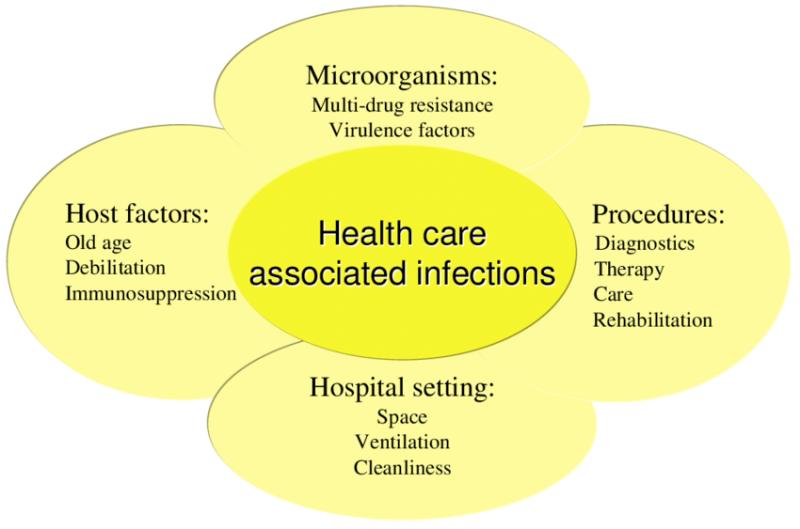 Hospital Acquired Infections Diagnostics Market