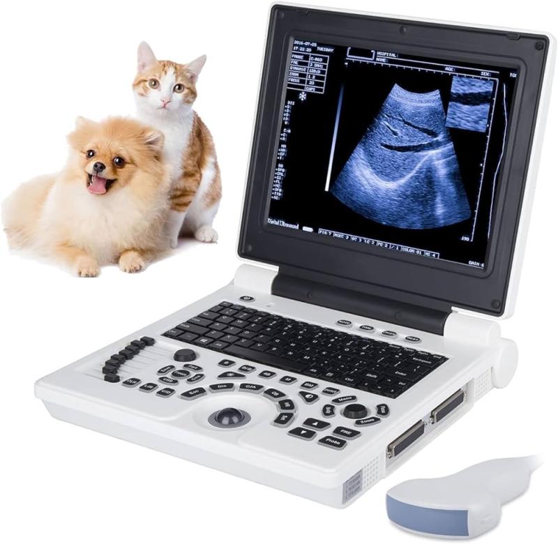 Veterinary Ultrasound Market Growth Potential is Booming Now: Heska, Siemens Healthcare, ReproScan