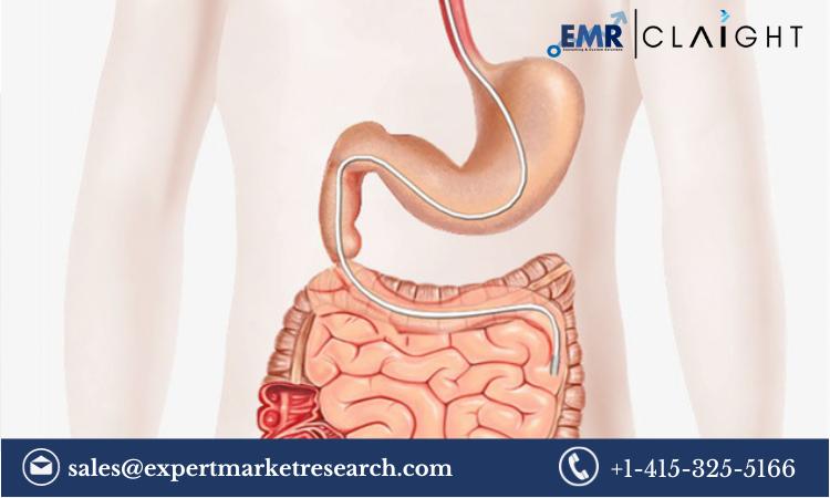 Enteral Feeding Devices Market: Growth, Trends, and Forecast