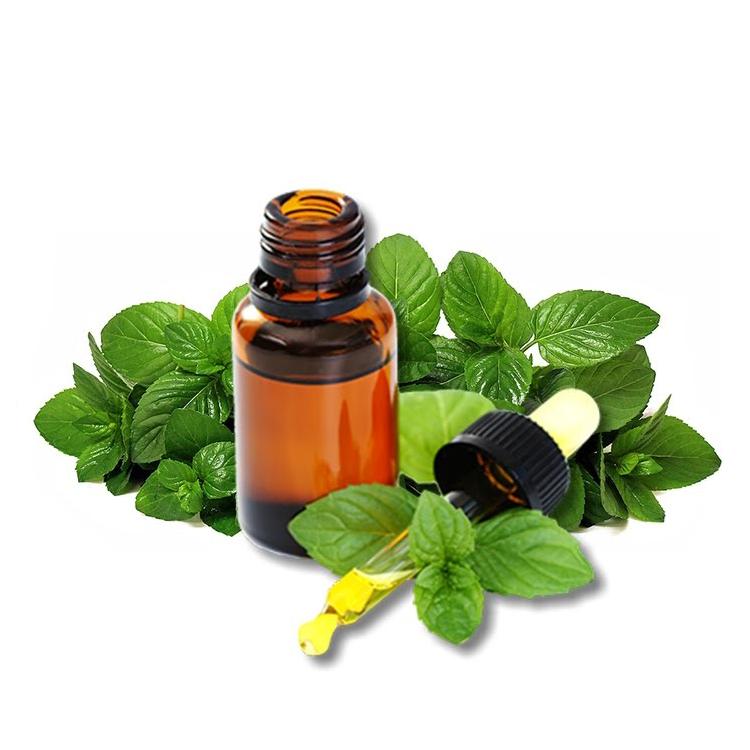 Demand for Oregano Oil is predicted to increase at a CAGR of 5.1% from 2024 to 2034