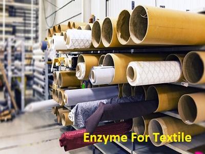 Enzyme For Textile Market to See Huge Growth by 2029| DuPont, AB Enzymes, Genotek Biochem