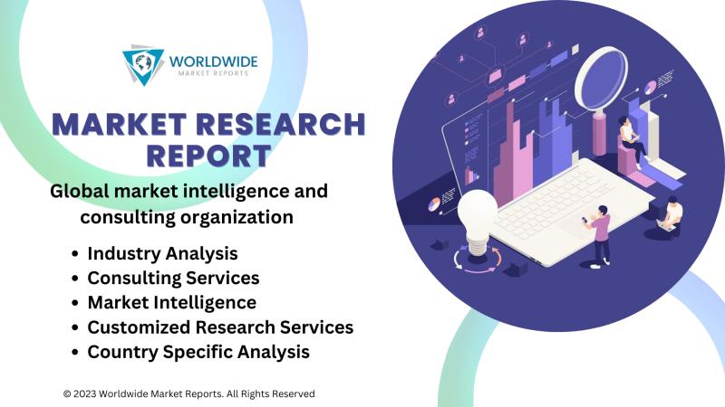 Exclusive Research Report on Seismic Monitoring System Market, Size, Analytical Overview, Growth Factors, Demand and Trends Forecast to 2031 | Sercel, IMS, SeismicAI, Thomasnet, Sensonics
