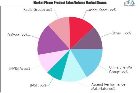 Nylon 66 Chips Market Update - Know Whose Market Share Is Getting Bigger And Bigger