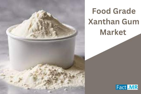 Food Grade Xanthan Gum Market Set to Hit US$689.2 Million by 2034, as Demand Surging for Natural Food Additives