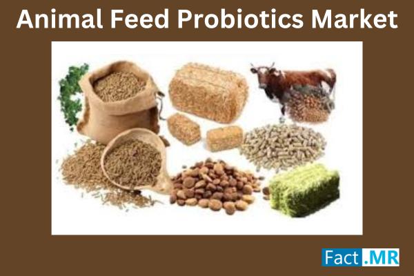 Animal Feed Probiotics Market to Expand Exponentially, Expected Value Surpassing US$6.65 Billion by 2034