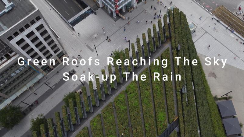 Green Roofs Reaching The Sky and Soak-up The Rain