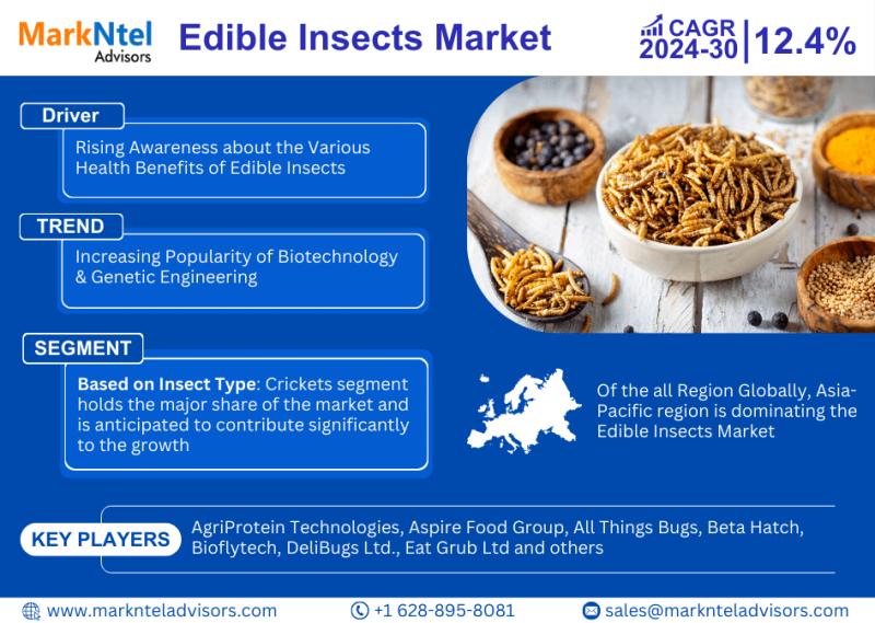 Global Edible Insects Market Reach USD 2.8 Billion in 2022,