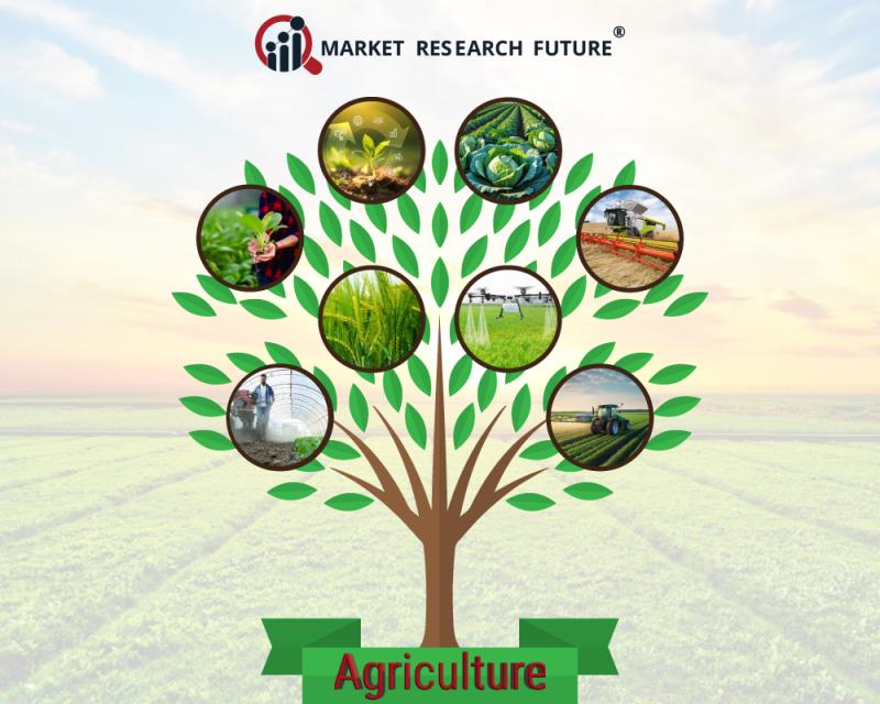 Beekeeping Equipment Market