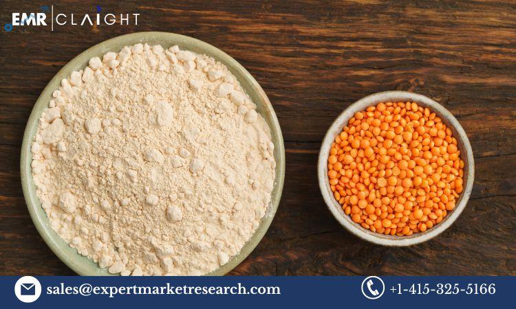 Pulse Flour Market: Growth Trends and Forecast (2024-2032)