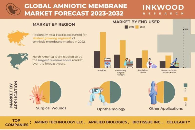 Global Amniotic Membrane Market Growth is Driven by Increasing Burn Injuries