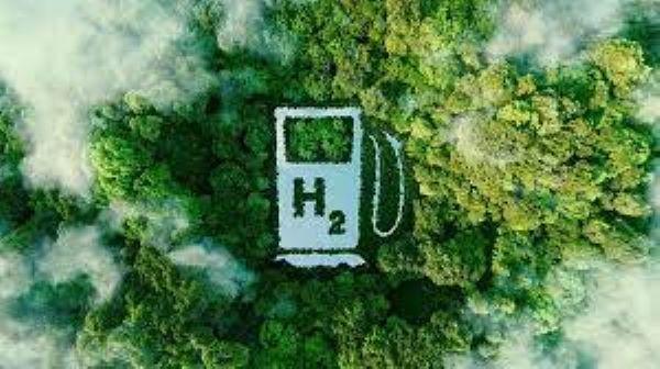 Green Hydrogen market
