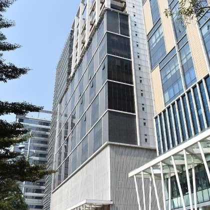 content writing services