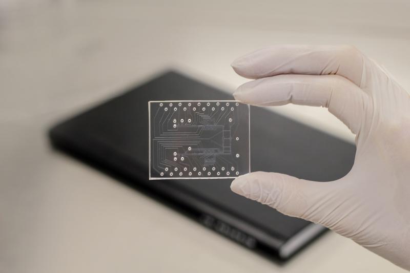 Microfluidic Chips