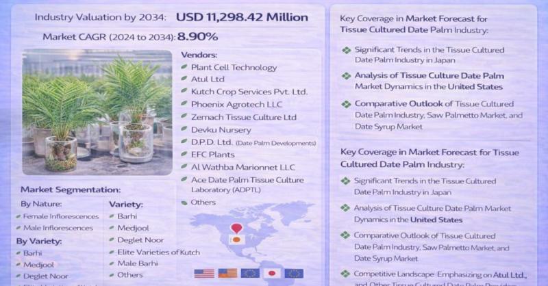 Tissue Cultured Date Palm Market to Surpass USD 11.29 Billion