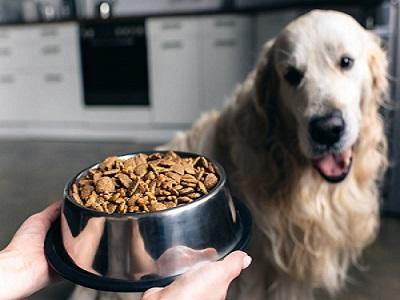 Luxury Pet Food Market Rewriting Long Term Growth Story| Mars Petcare, The Honest Kitchen, Diamond Pet Foods