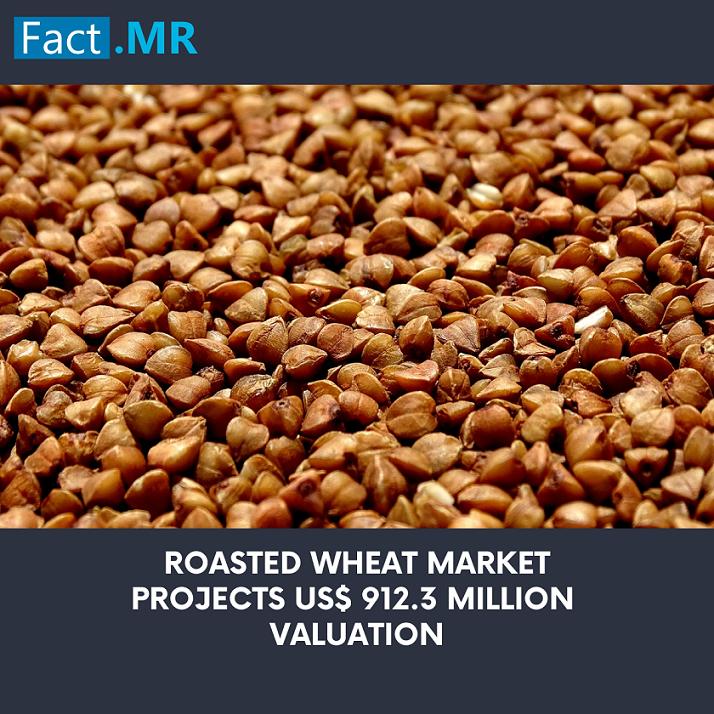 Roasted Wheat: A Flourishing Market Capturing Potential in the Health Food Sector 2024 | A Complete Analysis