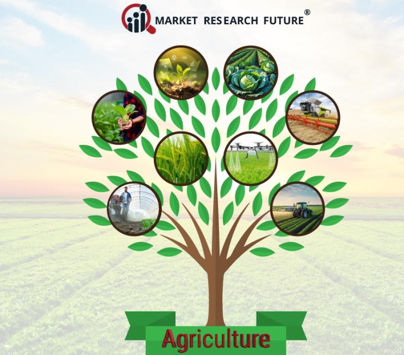 Agricultural Micronutrients Market