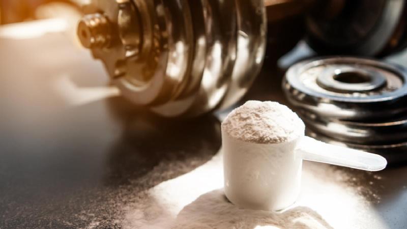 Whey Protein Powder Manufacturing Plant Project Report 2024:
