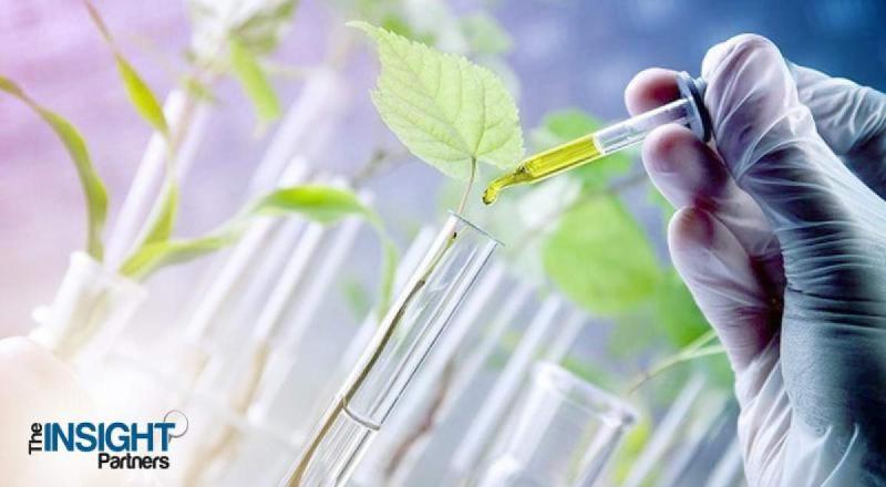 Synthetic Biology Market Is Gaining Huge Growth In Upcoming Years