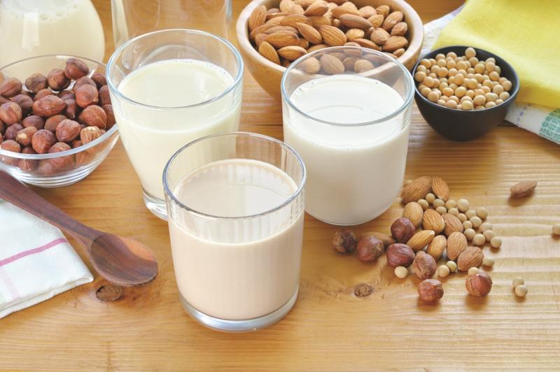 Dairy Alternatives Market To Eyewitness Stunning Growth by 2029 | Business Impact and Development Strategies
