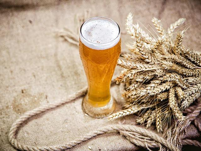 Wheat Beer Manufacturing Plant Cost Report 2024: Setup Requirements