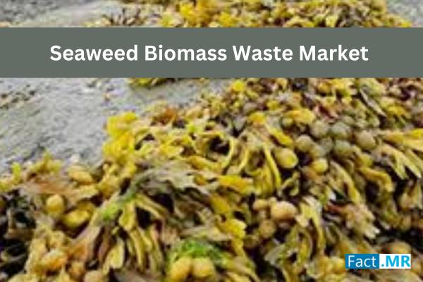Seaweed Biomass Waste Market to Reach US$ 38,918.1 Million