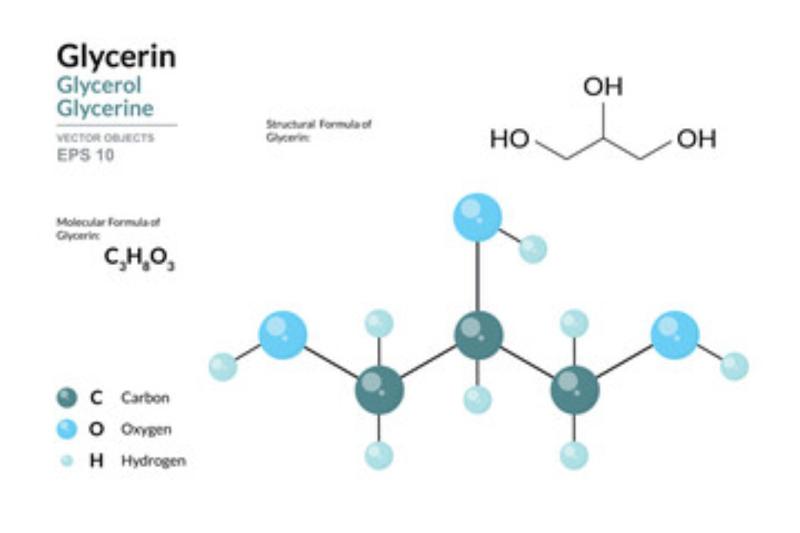 Track the latest Glycerine Price Trend with real-time insights and forecasts by Price Watch AI.
