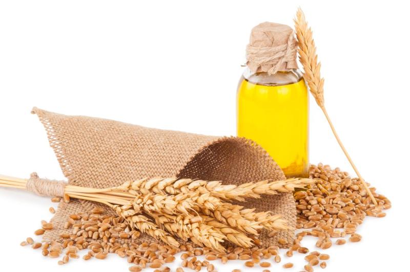Wheat Germ Oil Market Key Drivers, Market Research, and Insights for the US$ 172 thousand ton Market 2019-2029