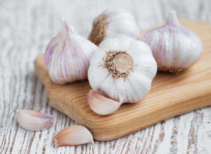 Garlic Processing Plant Project Report 2024: Unit Cost and Industry Trends