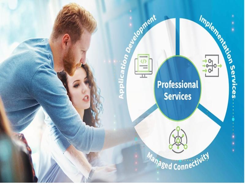 IT Professional Services Market