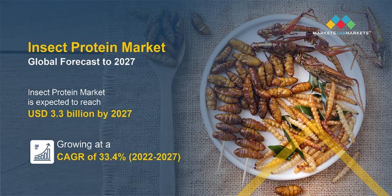 Insect Protein Market Size, Share, Trends and Opportunities