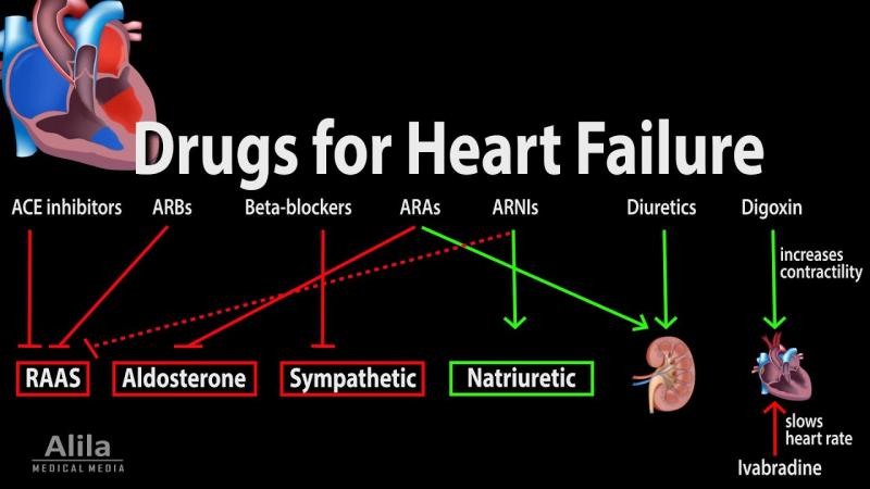 Congestive Heart Failure Drugs Market