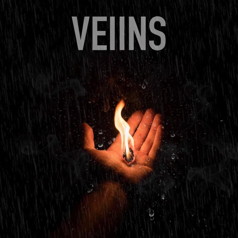 Rising Canadian sensation VEIINS officially launches on Spotify following massive national buzz. Released under Chris TDL Records,