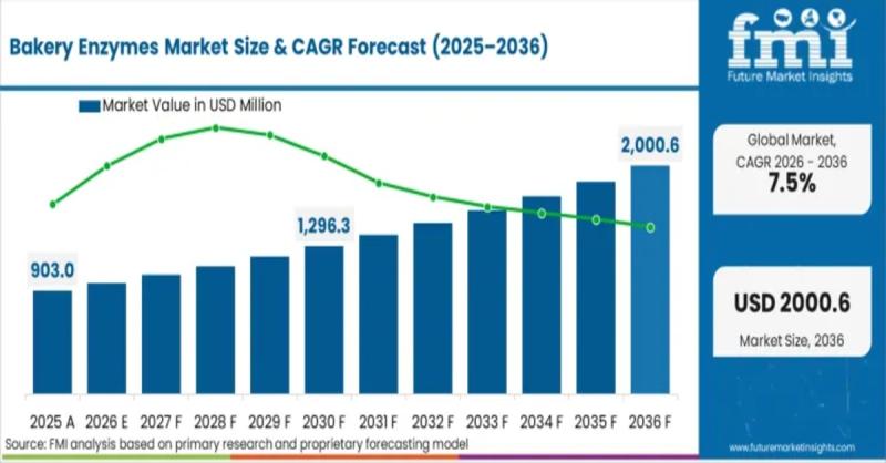Bakery Enzymes Market to Reach USD 2,000.5 Million by 2036 as