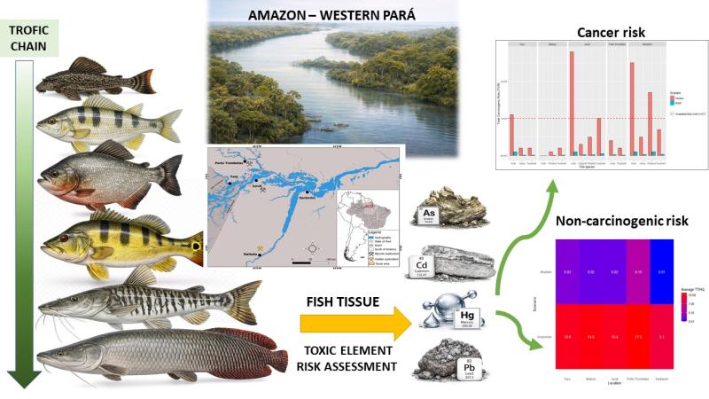 Amazon Fish Contaminated With Toxic Metals Threaten Riverine