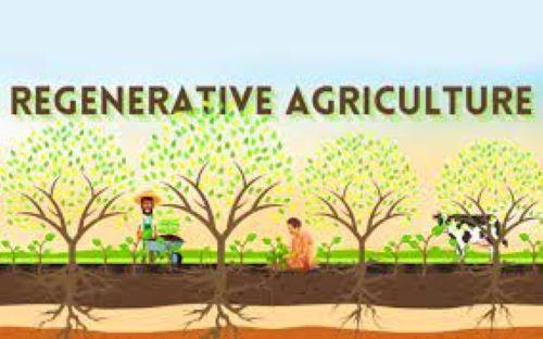 Regenerative Agriculture market