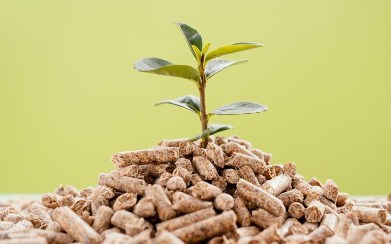 Feed Additives Market Growth Statistics & Future Prospects | ADM, Alltech, Novozymes