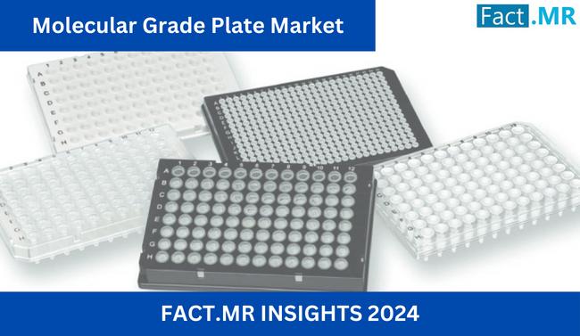 Molecular Grade Plate Market