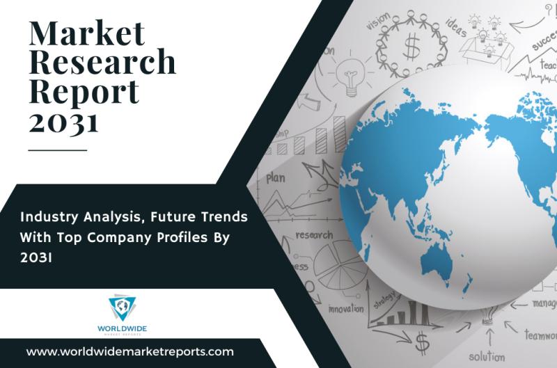 Wind Turbine Inspection Robot Market