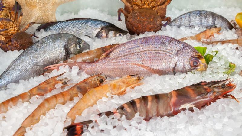 Frozen Seafood Market Will Generate Booming Growth Opportunities to 2031