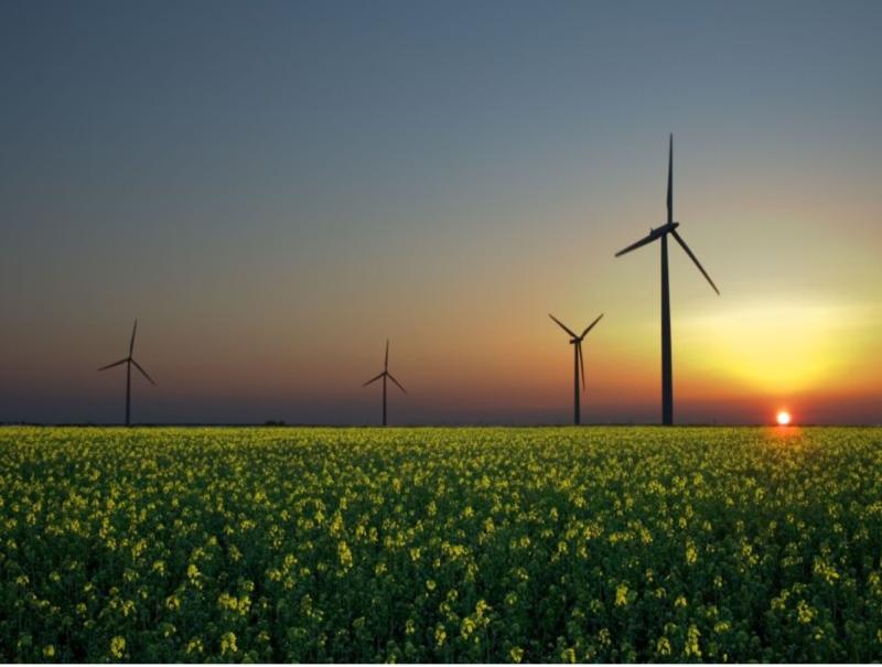 Wind Farm Operations Market