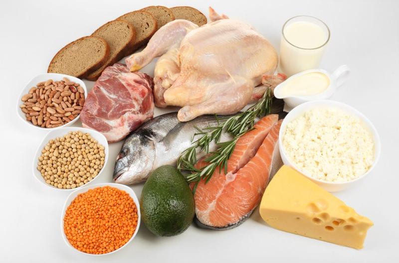 Protein Ingredients Market