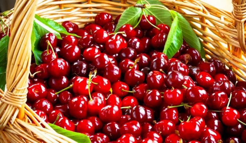 Fresh Cherries Market