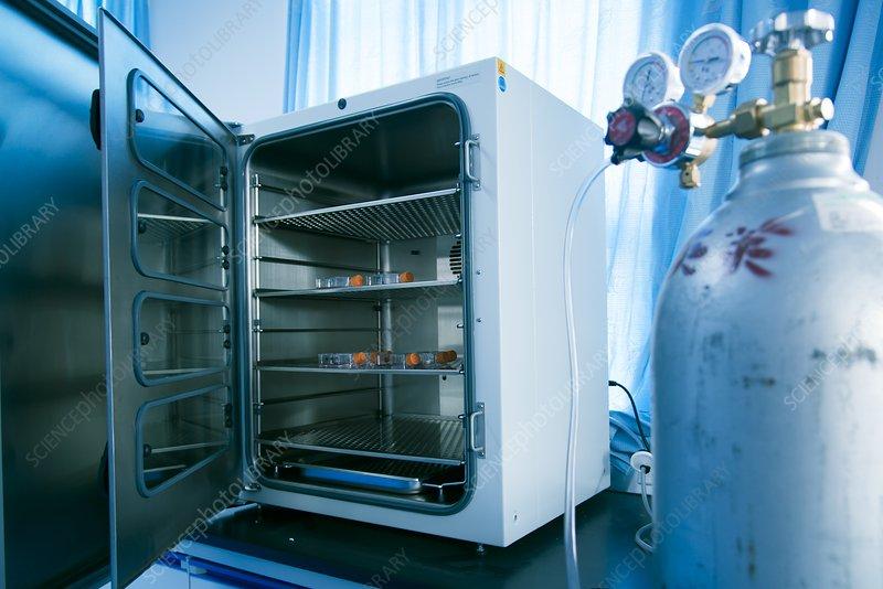 Carbon Dioxide Incubators Market