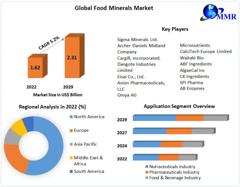 Food Minerals Market: Nourishing Insights into Nutrient