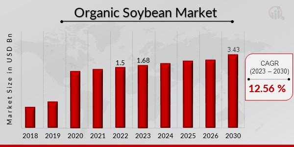 Organic Soybean Market: Redefining the Future of Agriculture