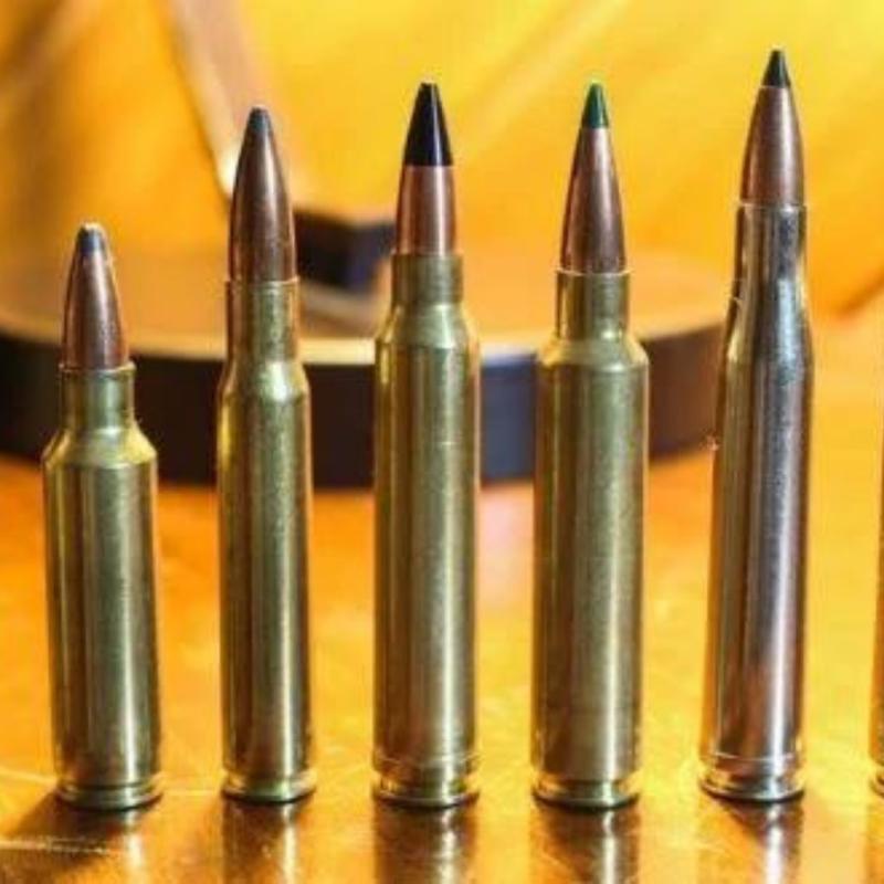 Small and Medium Caliber Ammunition Market